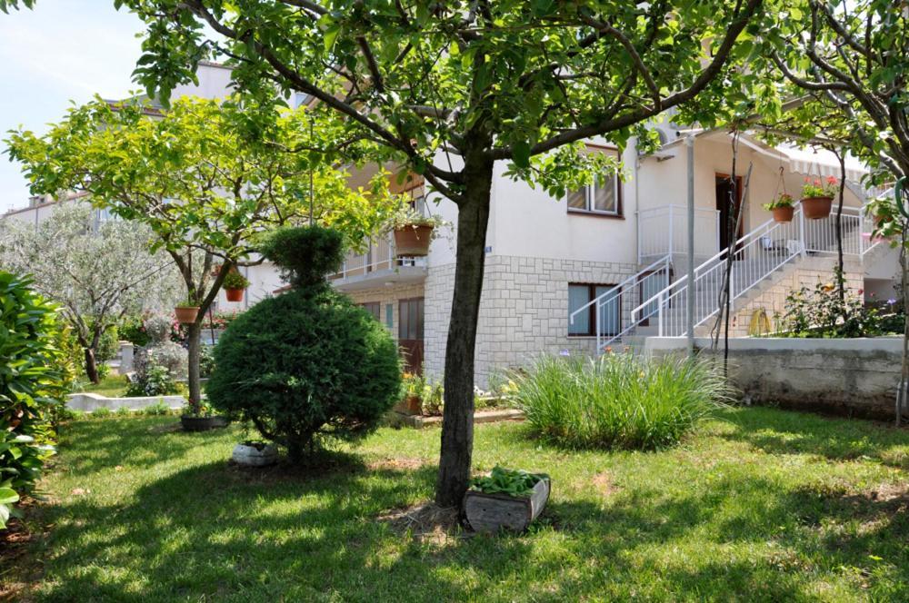 Guest house Bilic
