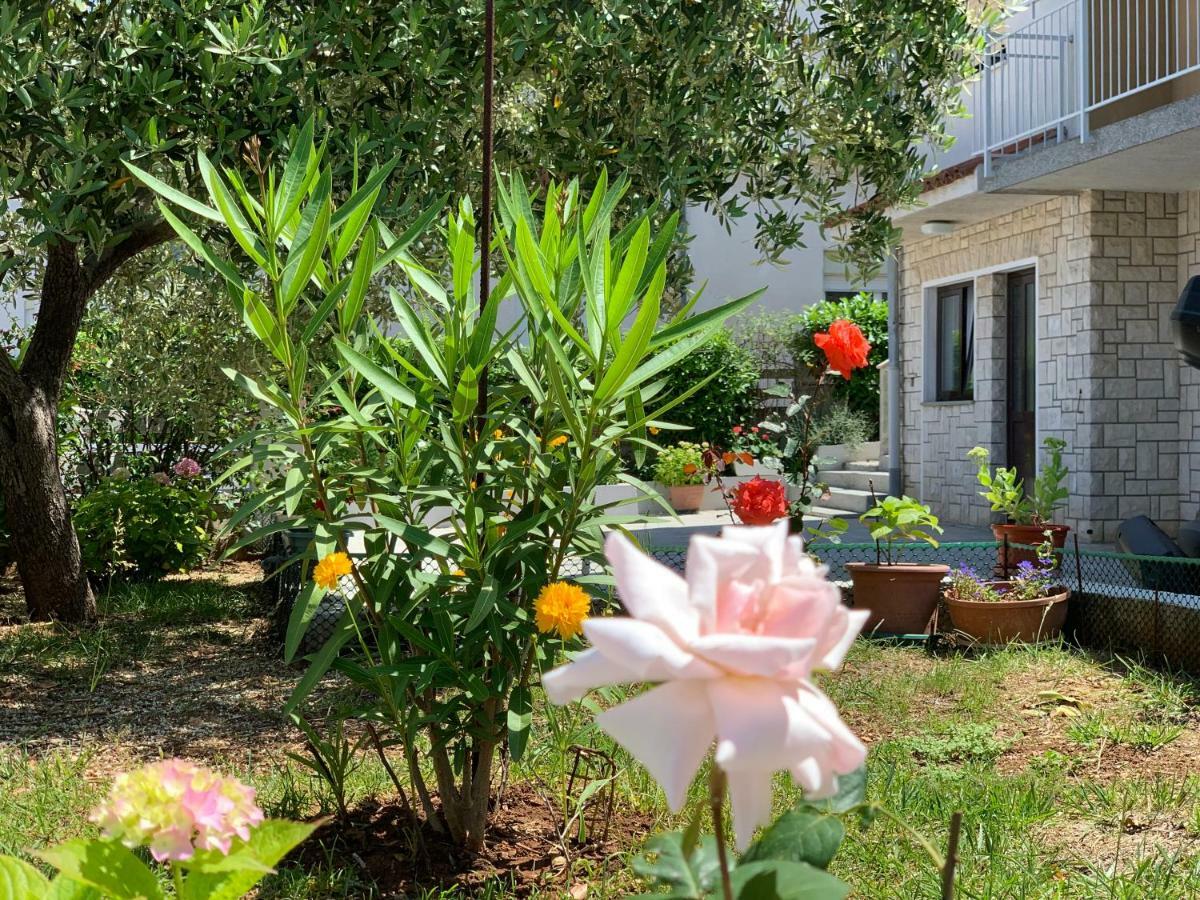 Bilic Guest house Pula